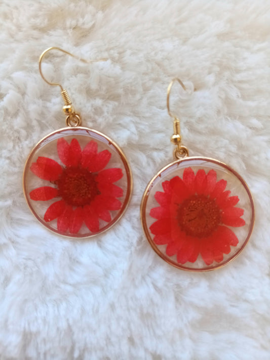 Gorgeous Dried Flower Round Earrings