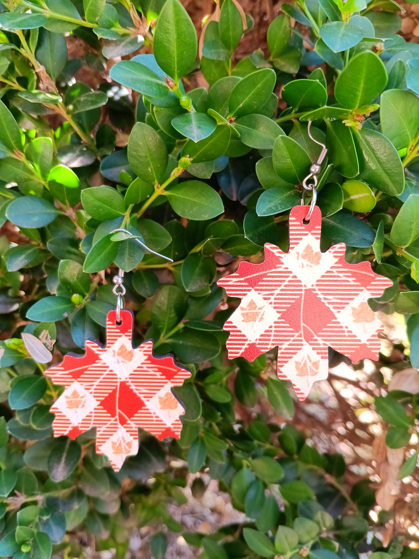 Beautiful Wood Fall Leaf Earrings