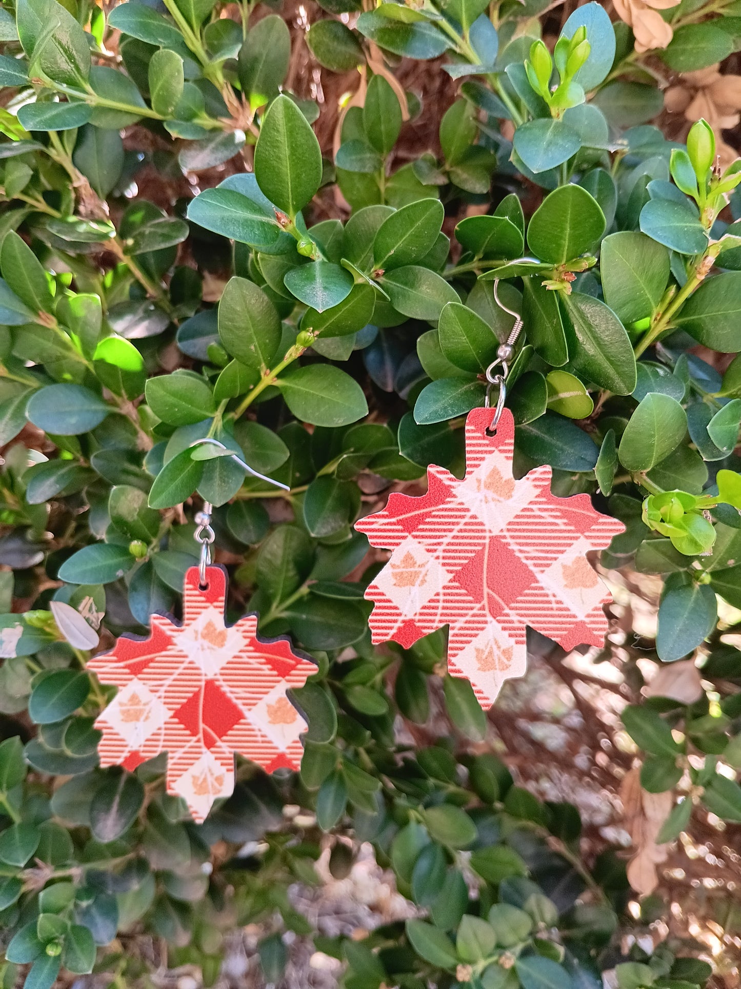 Beautiful Wood Fall Leaf Earrings